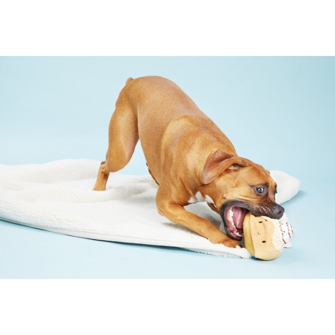Howie Roll