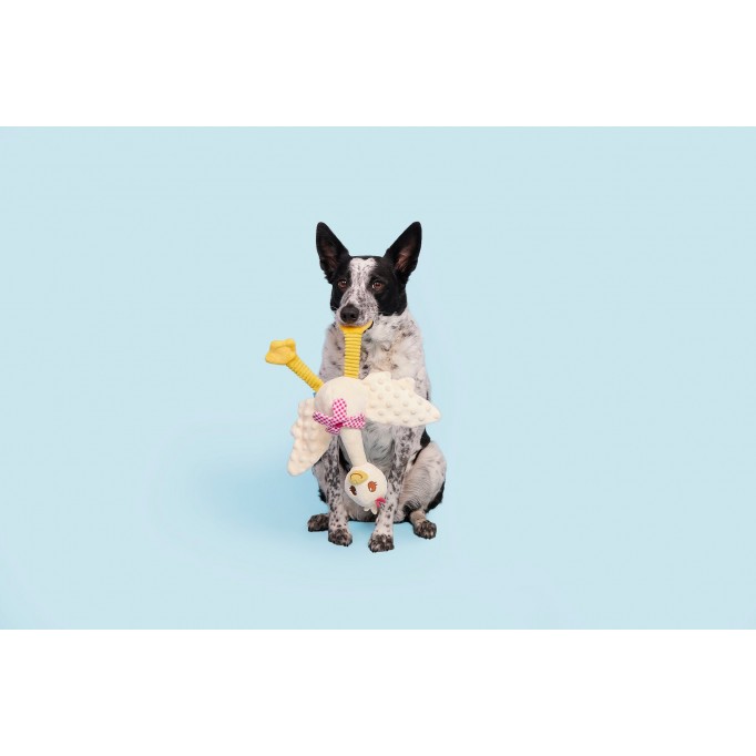 Gingham Goose